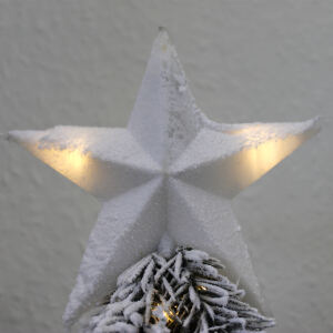 Beschneite Tanne mit LED und Stern