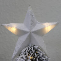 Beschneite Tanne mit LED und Stern