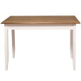 Tisch im Landhausstil - 120 x 70 cm shabby chic / antik look