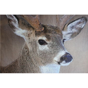 Kissen im Landhausstil mit Hirsch 45x45 cm