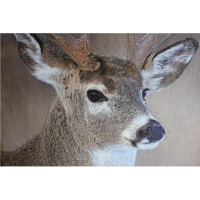 Kissen im Landhausstil mit Hirsch 45x45 cm