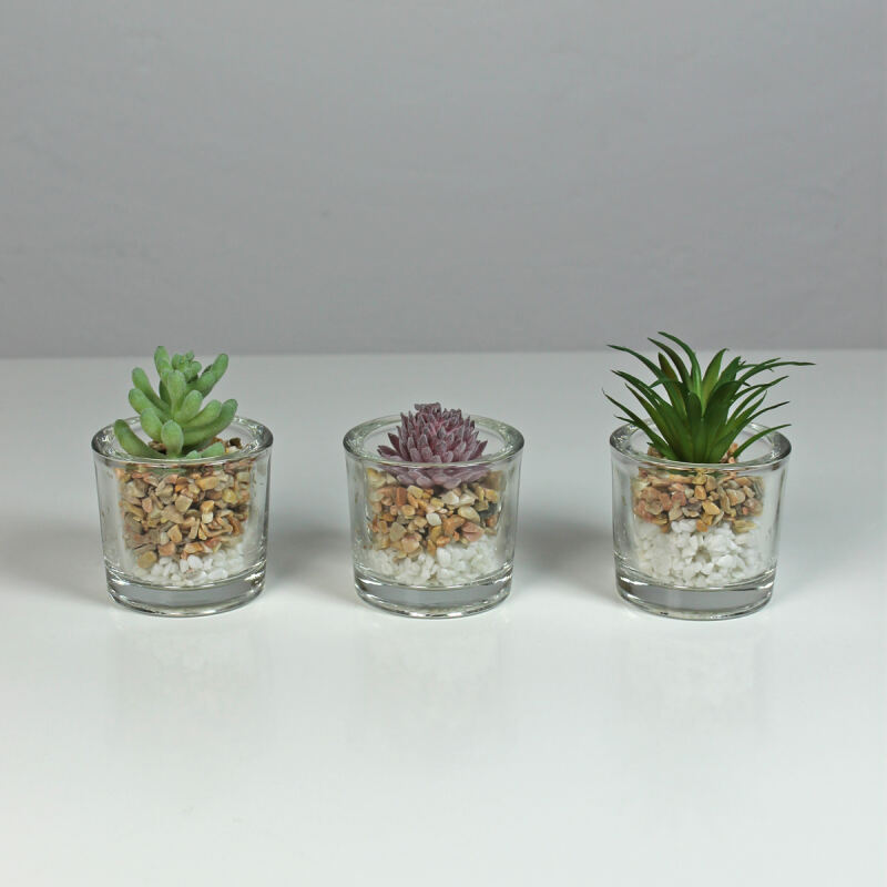 Kunstpflanzen im Glas - Sukkulenten 3er Set - Onlineshop fr massive  Landhausmbel - landhausstil online kaufen