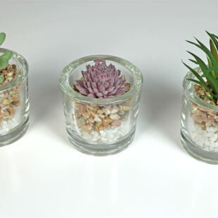 im für - Onlineshop Set 3er - Glas massive Kunstpflanzen Sukkulenten