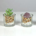 Kunstpflanzen im Glas - Sukkulenten 3er Set