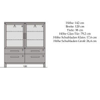 Moderne Vitrine mit Beleuchtung Wildeiche geölt