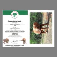 Goebel Porzellan Figur Elephant - Mapia