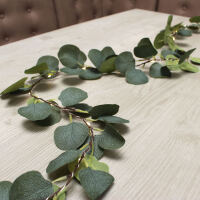 LED-Lichterkette Eukalyptus