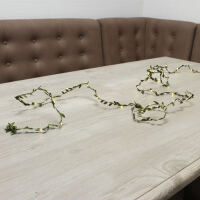 LED-Lichterkette Buchs Girlande