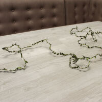 LED-Lichterkette Buchs Girlande
