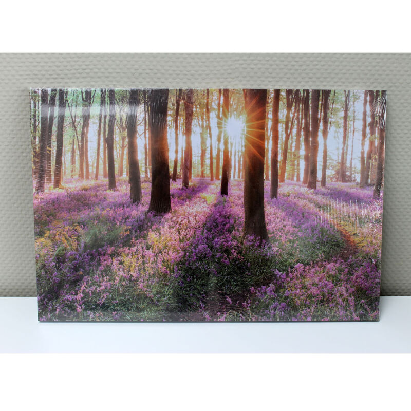 LED-Wandbild Wald Fotografie