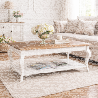Couchtisch französischer Landhausstil, weiß-braun