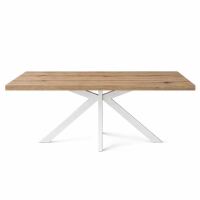 Esstisch White Washed Spider 140x90cm Wildeiche, weißer Spider-Fuß - gerade Kante