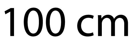 100 cm