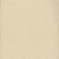 Ivory B2