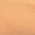 Apricot 424
