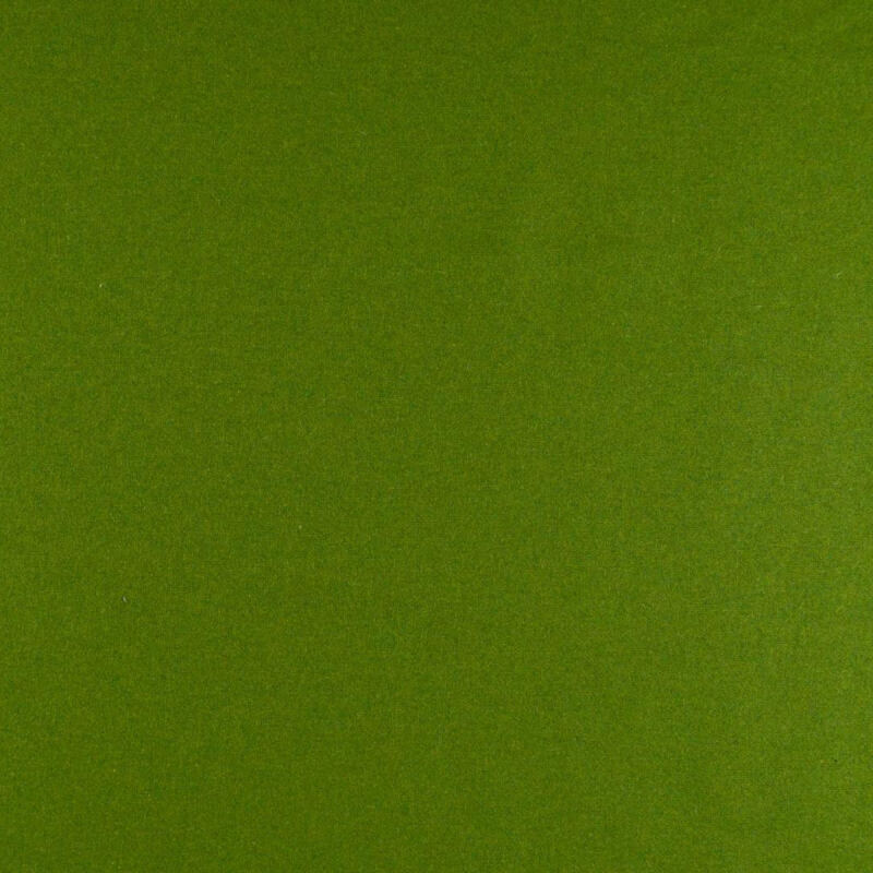 2079 green