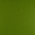 2079 green