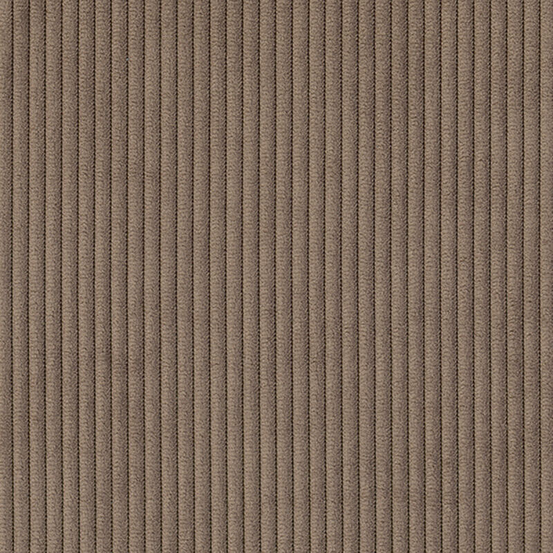 41 Braun