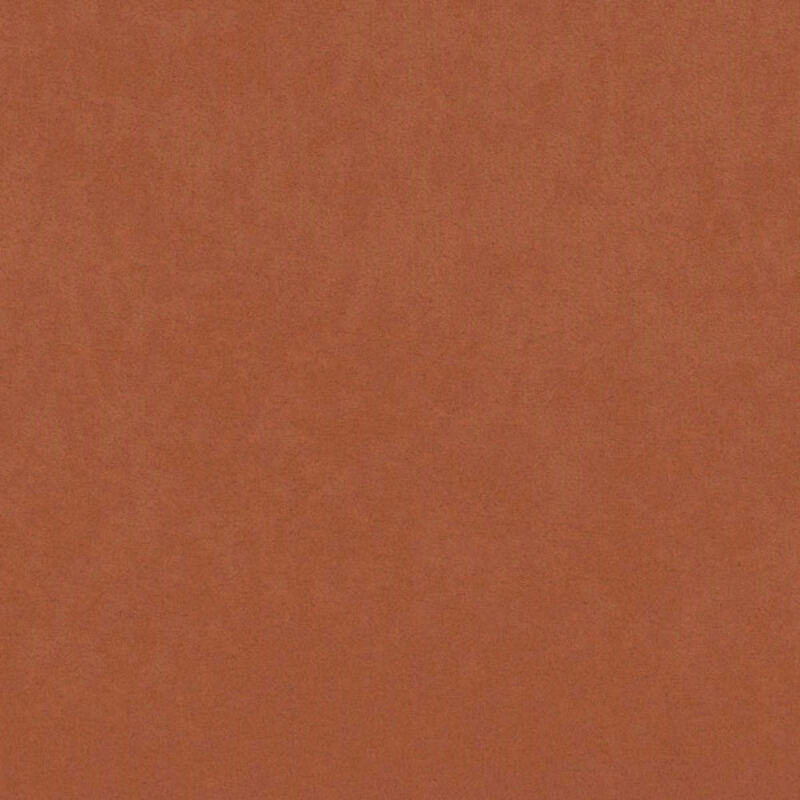 Terra